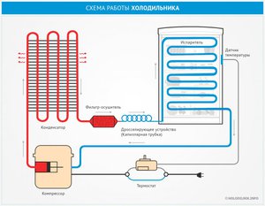 Как работает холодильник