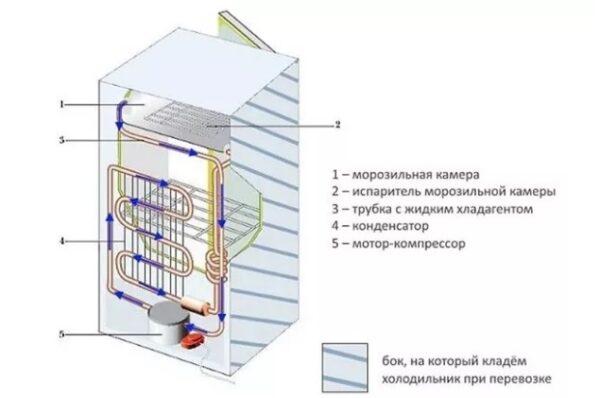 Общие правила транспортировки