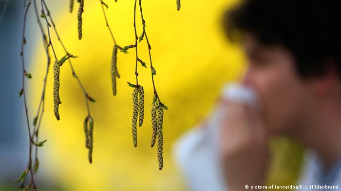 A young man with a tissue behind a tree withn pollen (picture-alliance/dpa/K.-J. Hildenbrand)