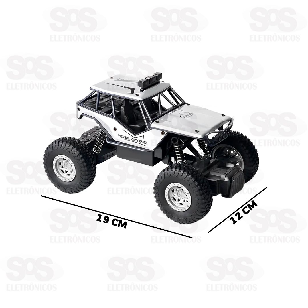 Carrinho Off-Road De Controle Remoto Toy King TK-AB3169